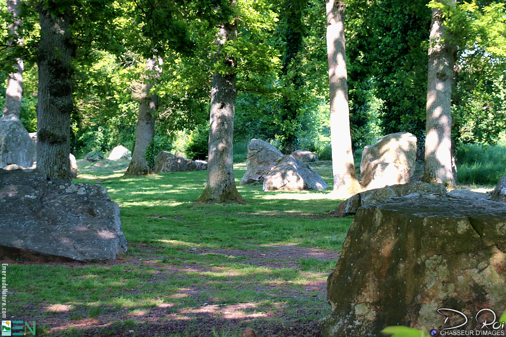 Alignement du Champ des Roches - Pleslin-Trigavou