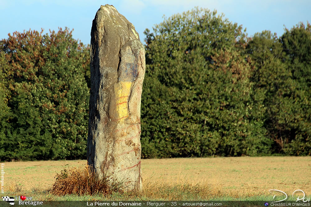 Menhir de La Pierre du Domaine - Plerguer