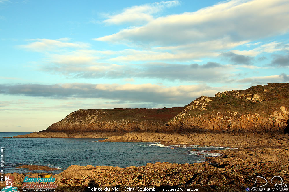 Pointe du Nid - Saint-Coulomb