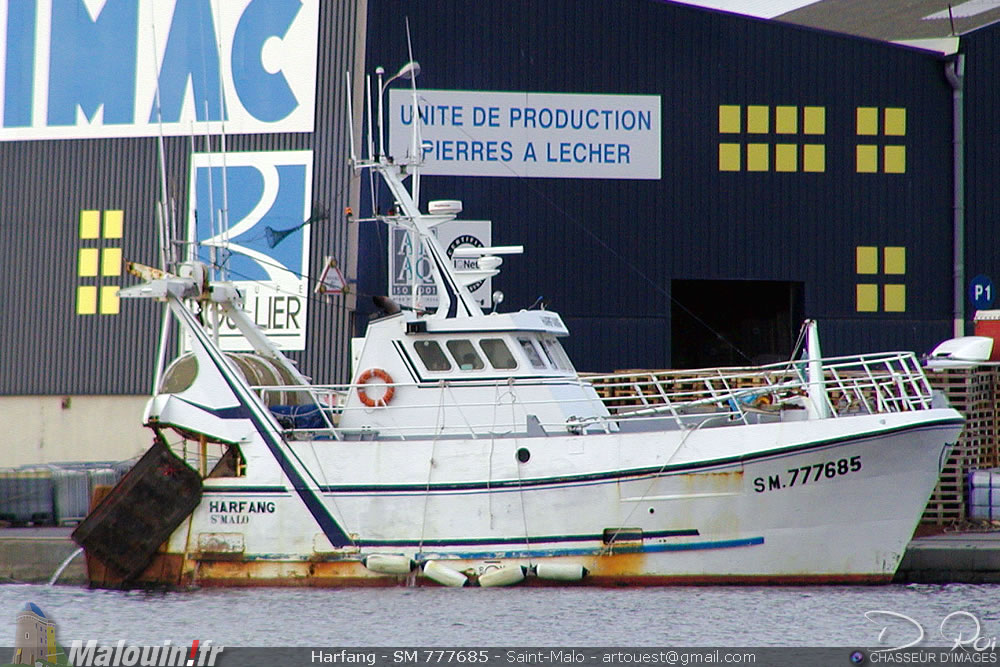 Harfang SM-777685 - Saint-Malo