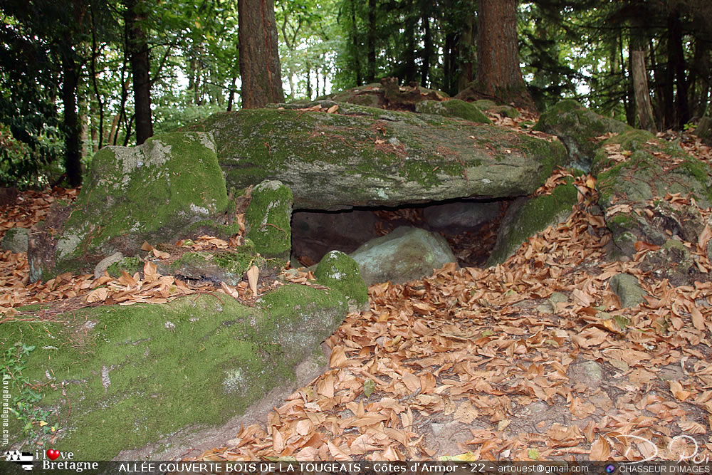 Allée couverte du Bois de la Tougeais - Pleudihen