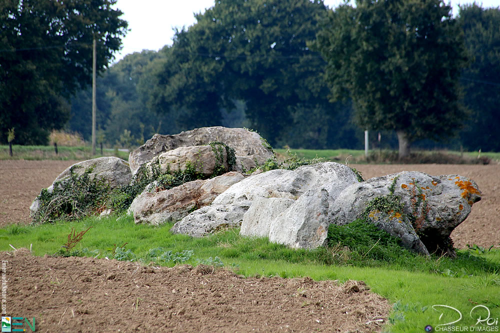 Allée couverte de la Hautière - Trégon